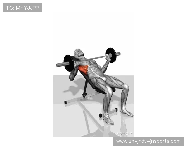 健身器材中杠铃杠类型与适合项目的详细分类 健身器材中杠铃杠类型与适合项目的详细分类